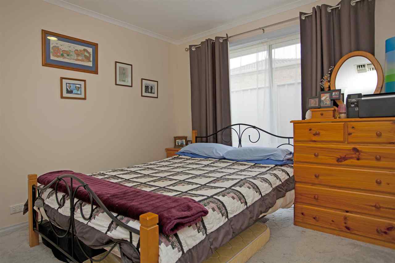 resized-2349823-edit11 kingfisher 2.JPG